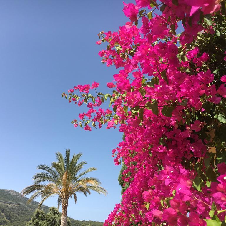 Finca Sonrisa Alhaurín el Grande Exteriér fotografie