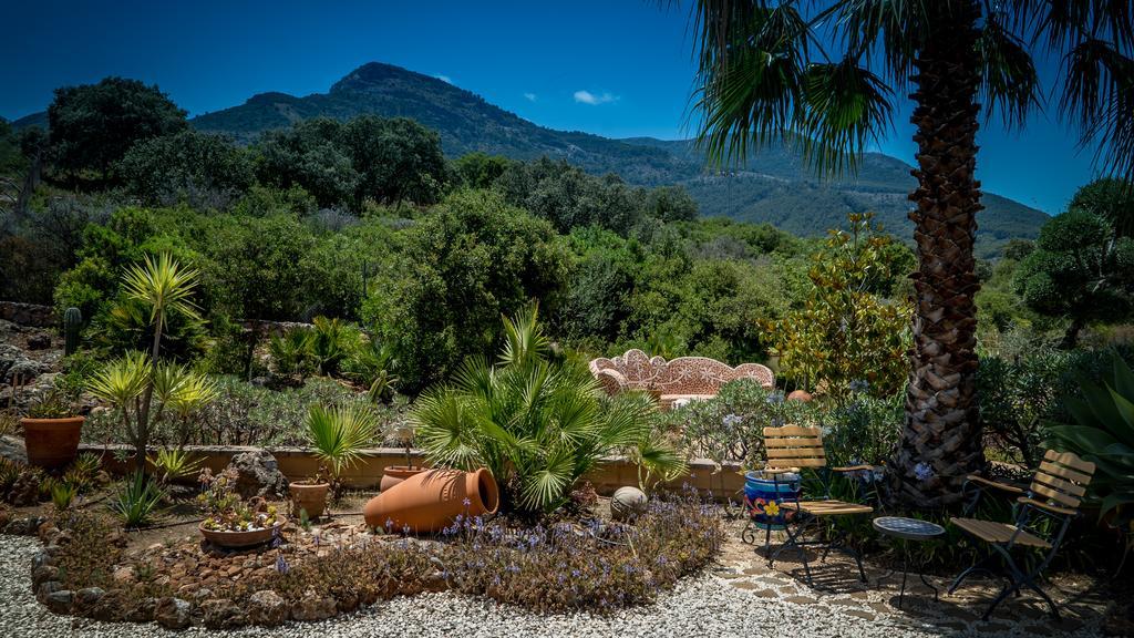 Finca Sonrisa Alhaurín el Grande Exteriér fotografie